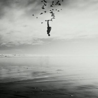 半岛网页版入口官网截图