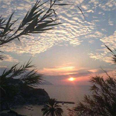 必一体育官方下载入口